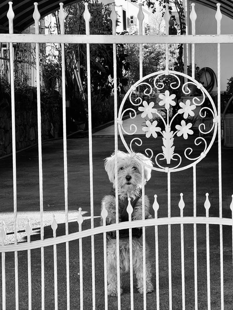 Photograph by Kholina Maria