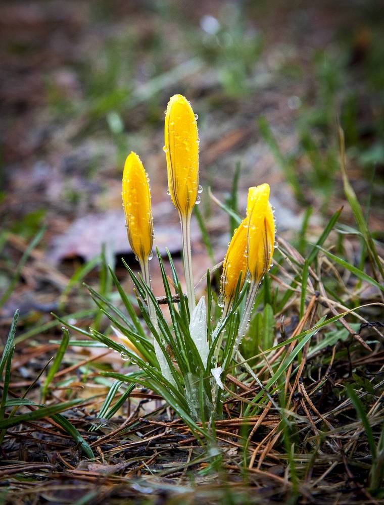 Photograph by Дмитрий Черепков