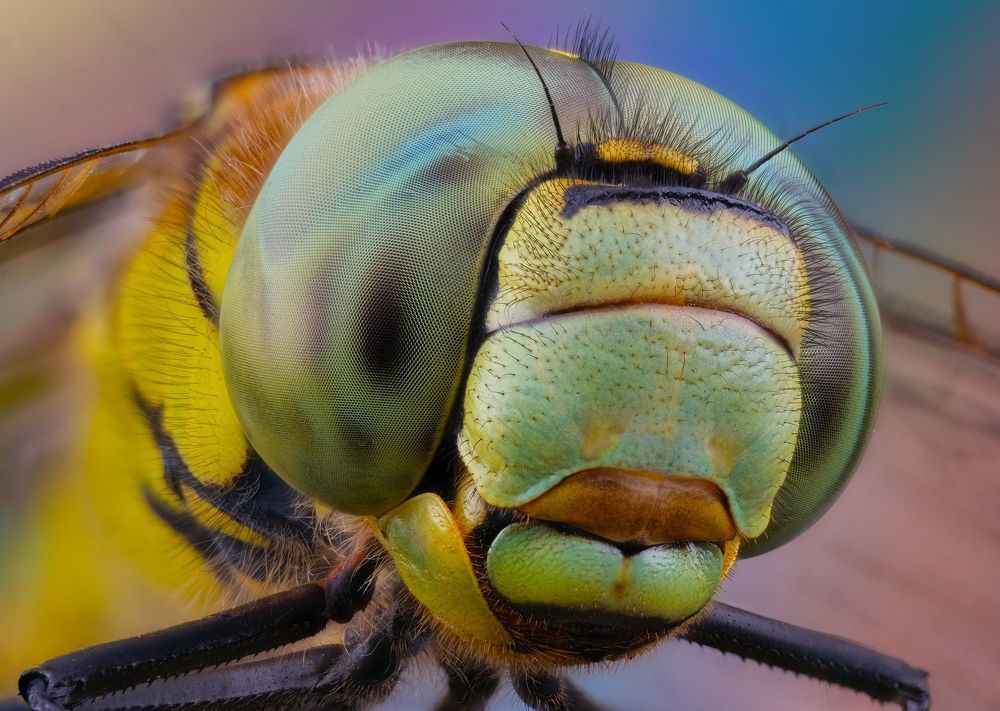 Photograph by Юрий Юрьевич