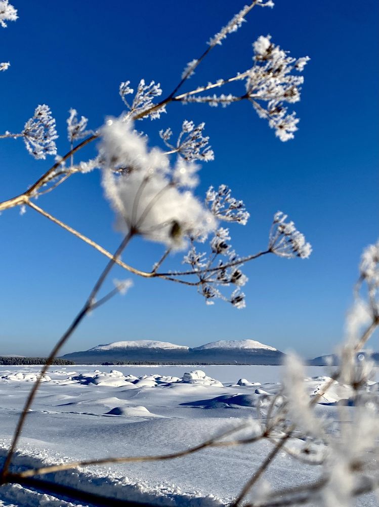 Photograph by Виктория Ярина