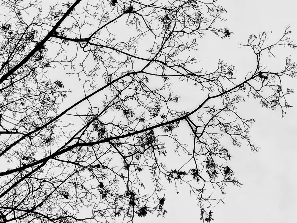 Photograph by Наталия Щербакова