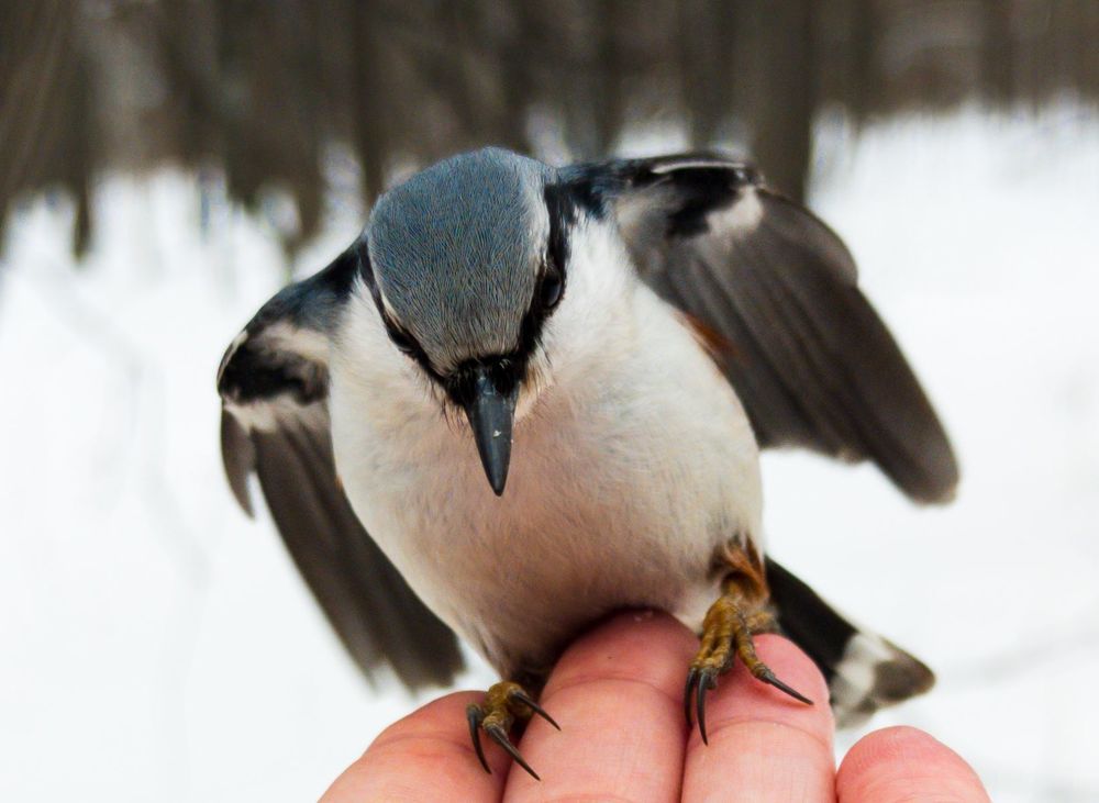 Фотография автора Александр Андреянов