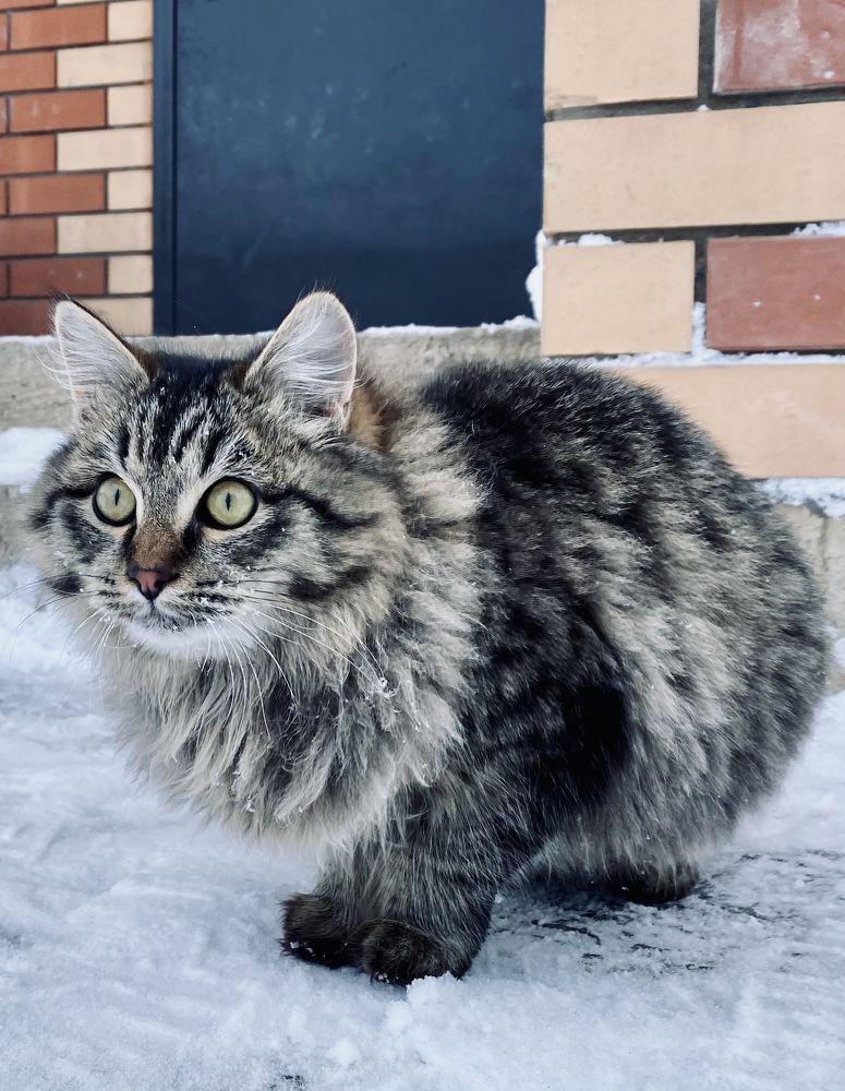 Photograph by Гульнара Шаньгина