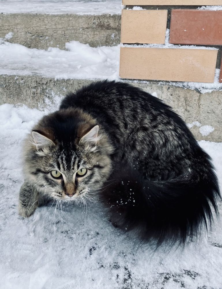 Photograph by Гульнара Шаньгина