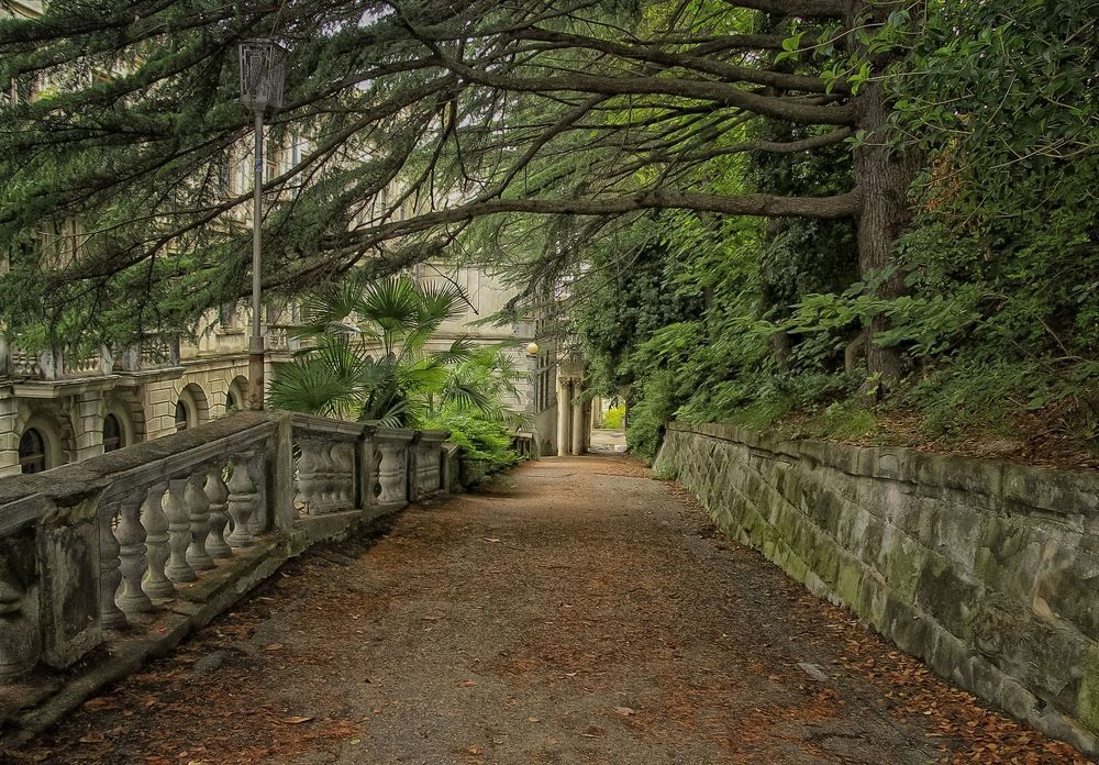 Photograph by Лайко Марина