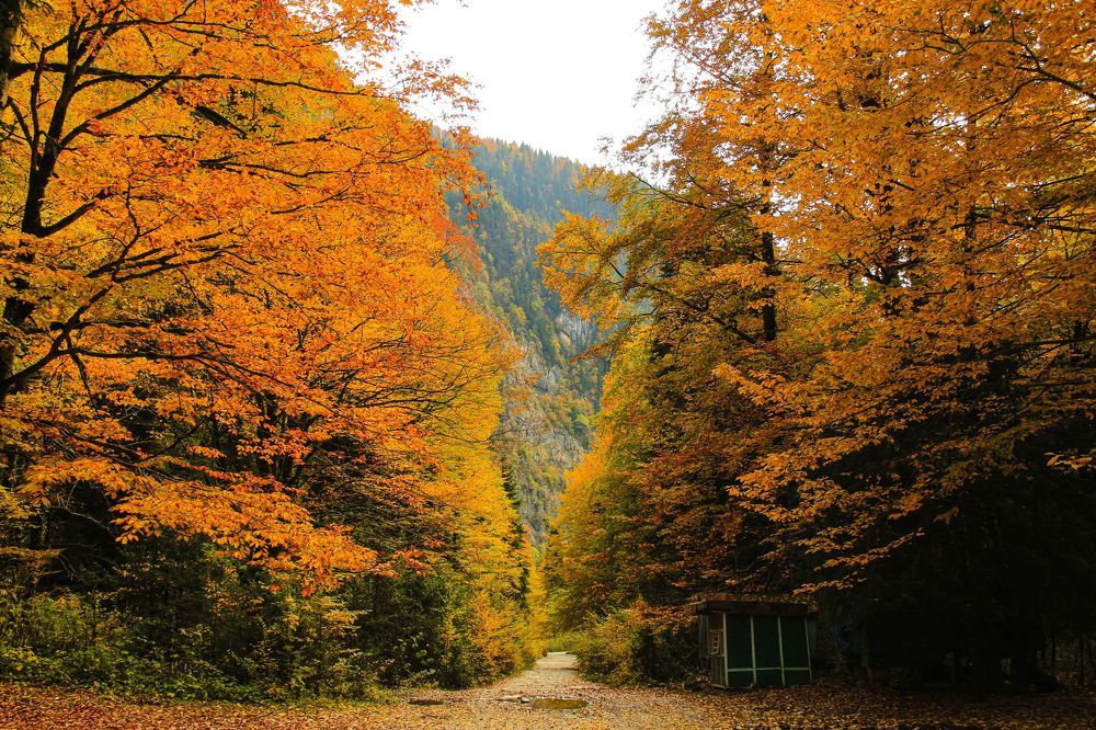 Photograph by Елизавета Цемко