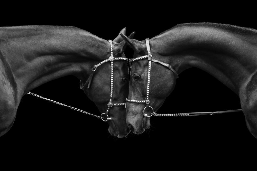 Смотрящие в душу