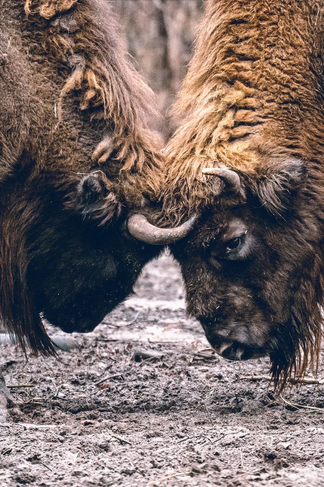 Photograph by Piotr Cichowski