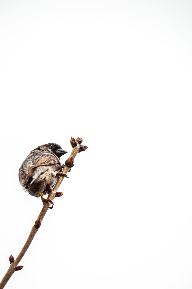 Photograph by Бекежан Мұхаметжанов