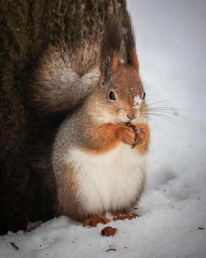 Photograph by Chic.chiquitita