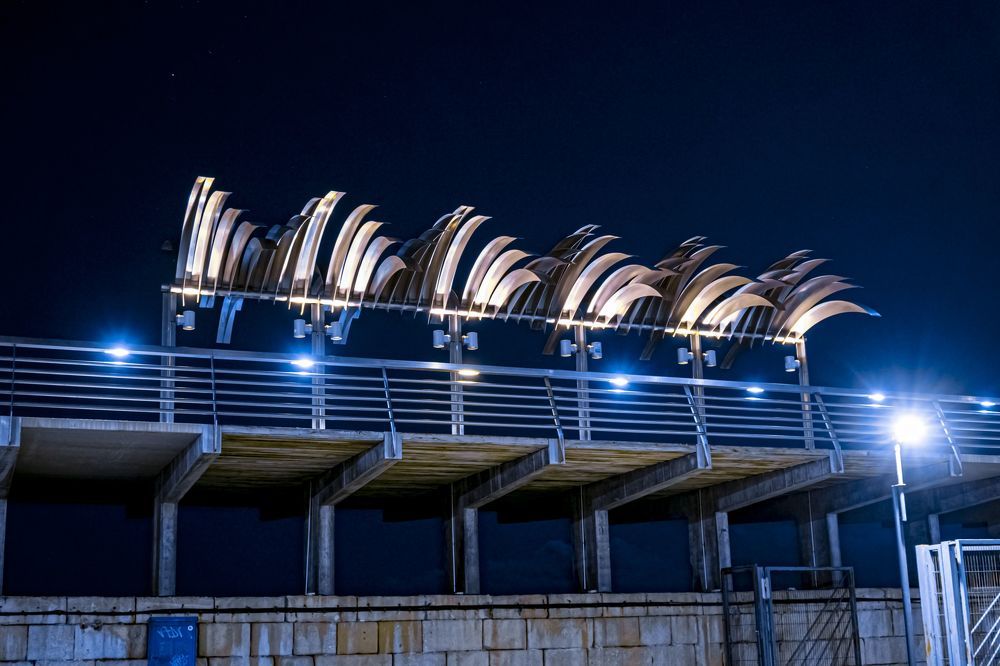 Photograph by FRANCISCO RONDON