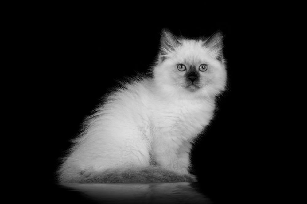 Photograph by Инга Стрижаченко