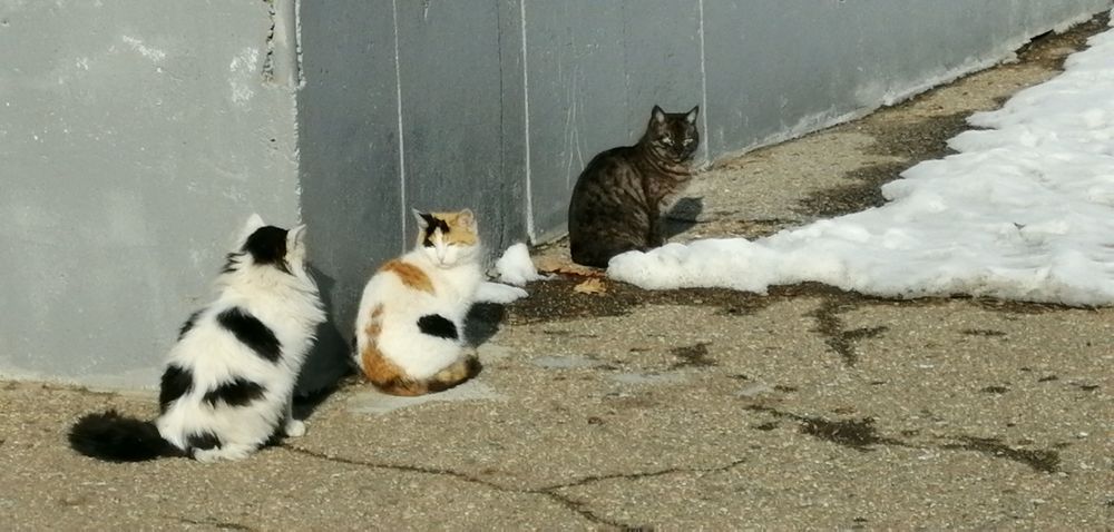 Photograph by Мила Мит