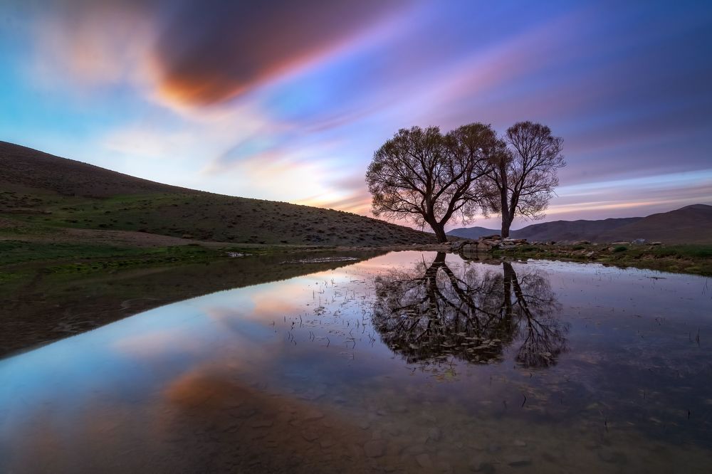 Photograph by sajjad saadat