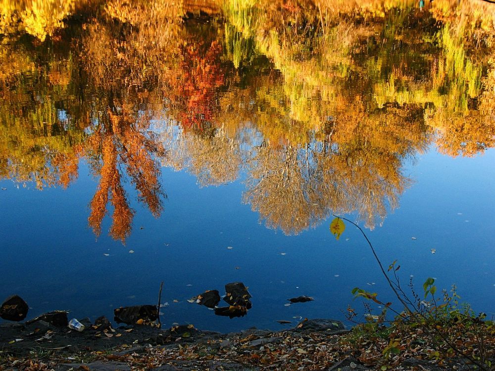 Фотография автора Евгений