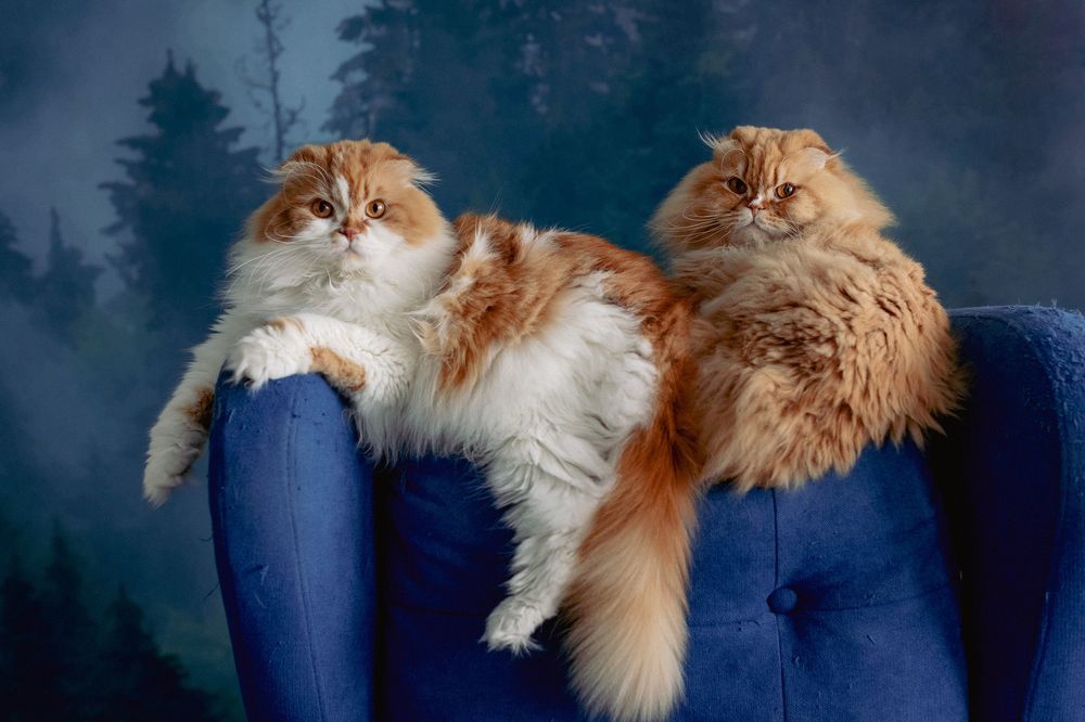 Photograph by Ольга Веретенникова