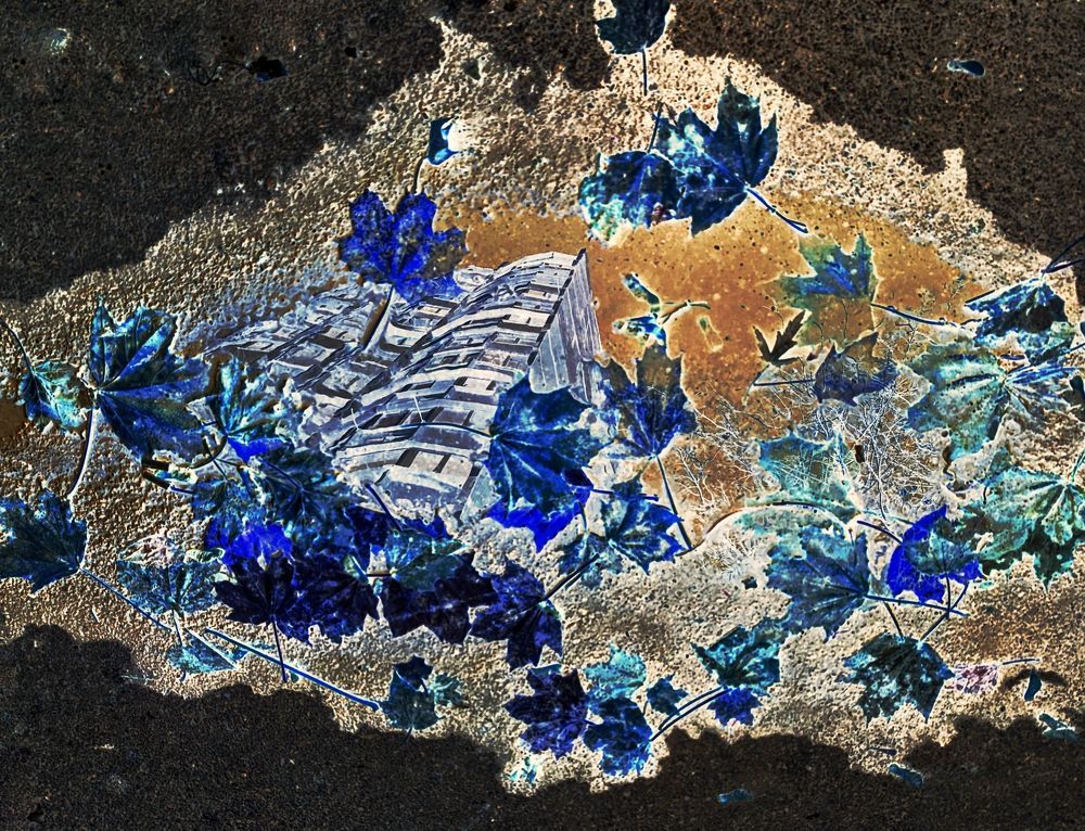 Photograph by Елена Николаева