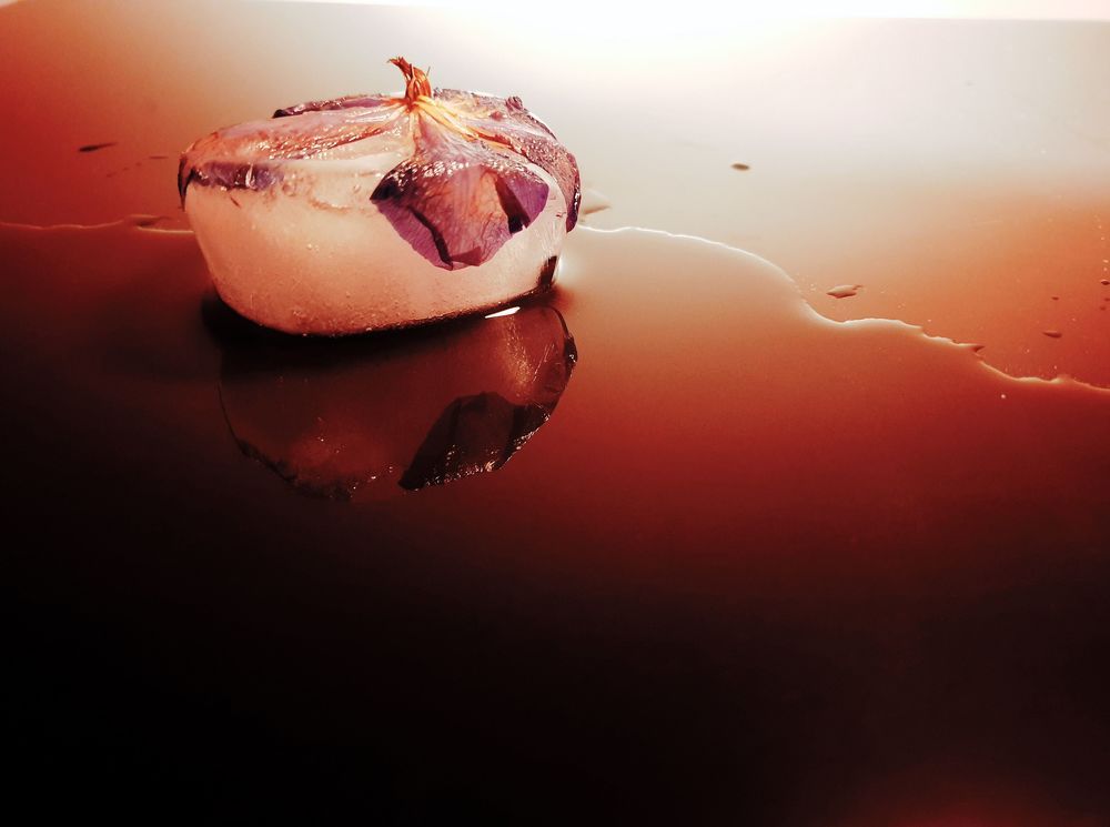 Photograph by Marija Bojkovic