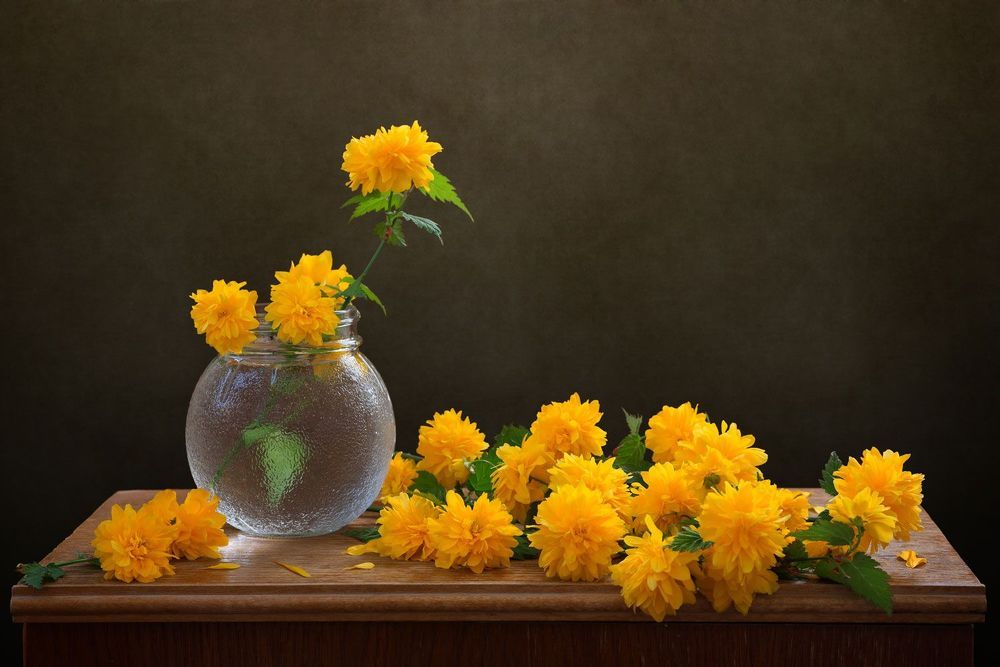 Photograph by Анжелика Королева