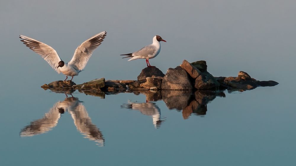 Photograph by Larianna Holm