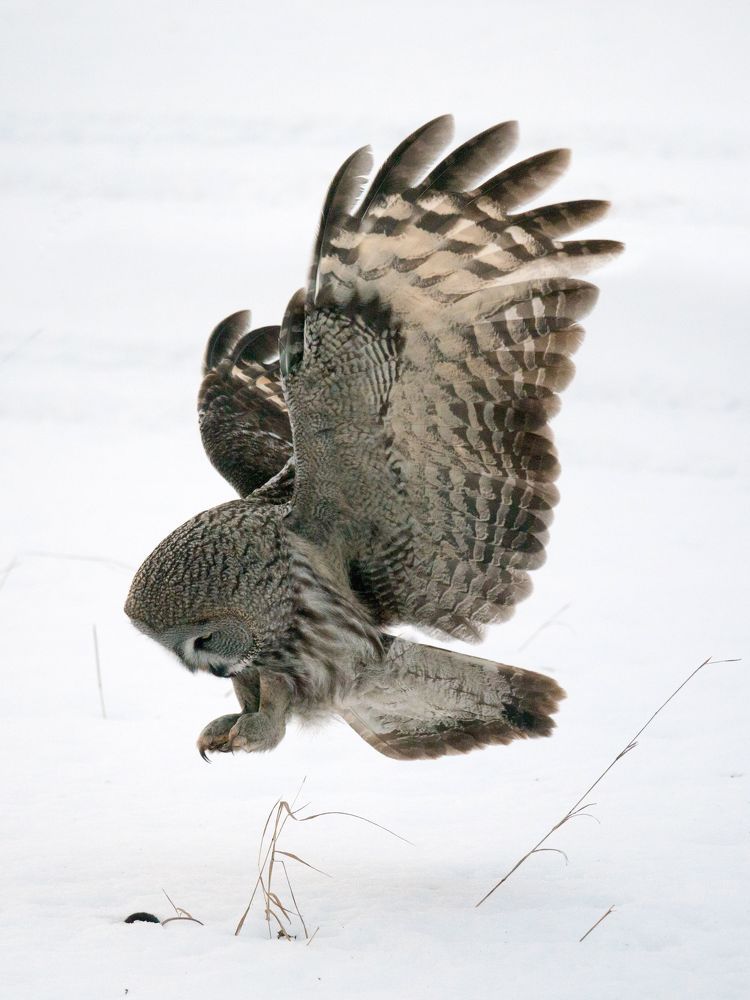 Photograph by Ольга Натальская