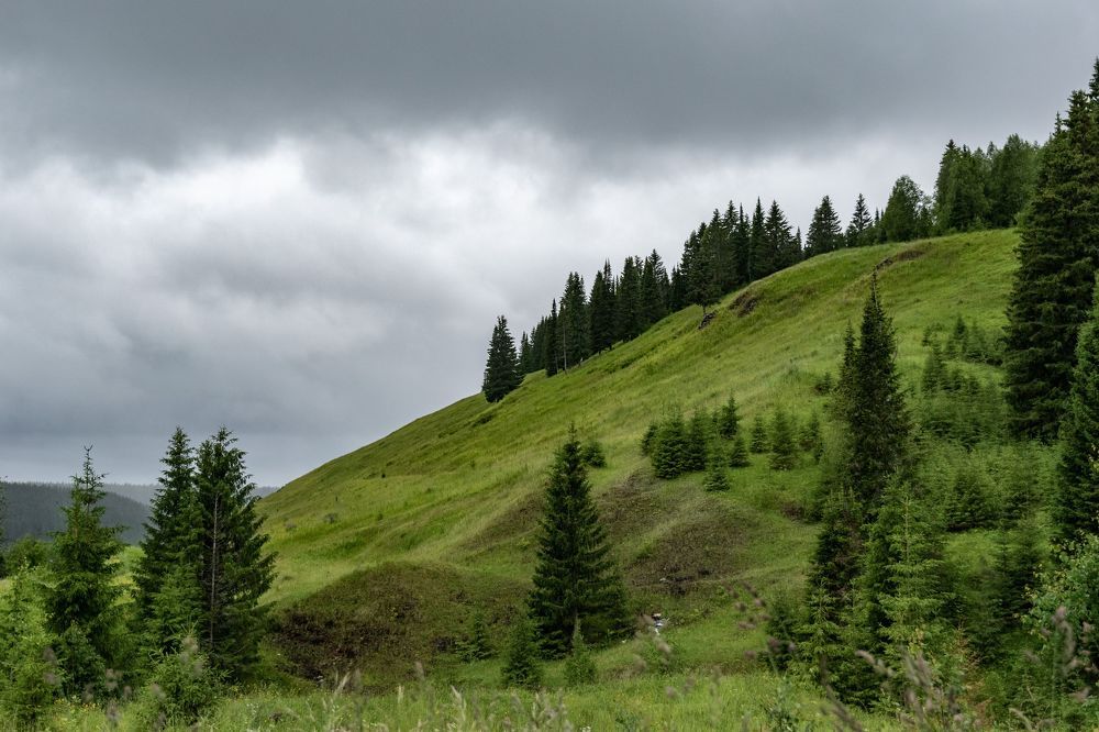Фотография автора Рохмистрова Мария