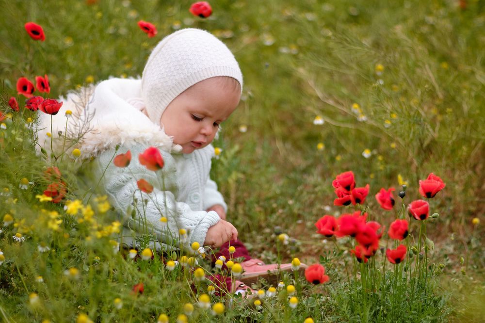 Девочка в маках