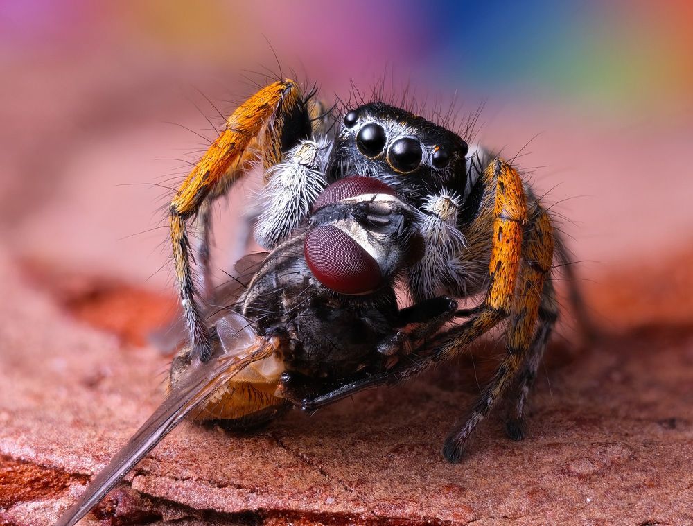 Photograph by Юрий Юрьевич