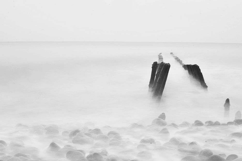 Photograph by Леликов-Кузьменко Владимир