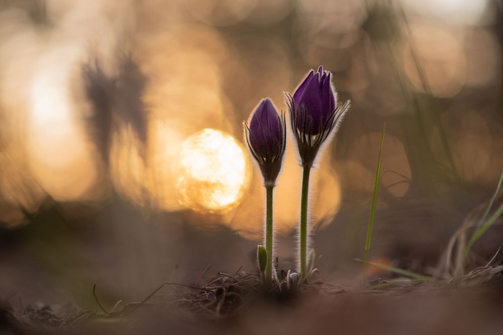 Photograph by Рустам Афлятунов