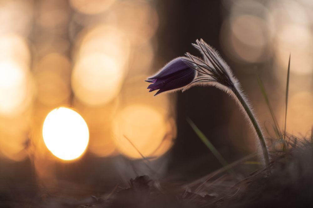 Photograph by Рустам Афлятунов