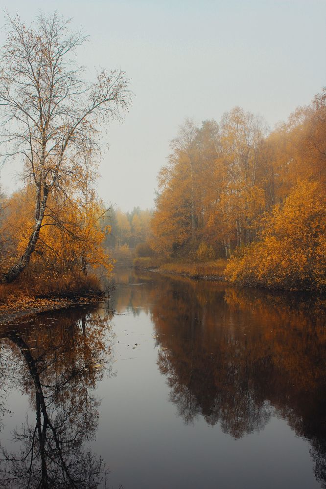 Photograph by Мария Василенко