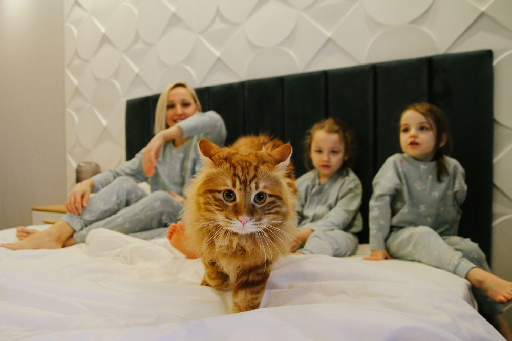 Photograph by Елена Лонькина