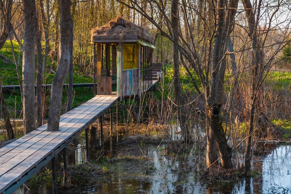 Домик на болотах