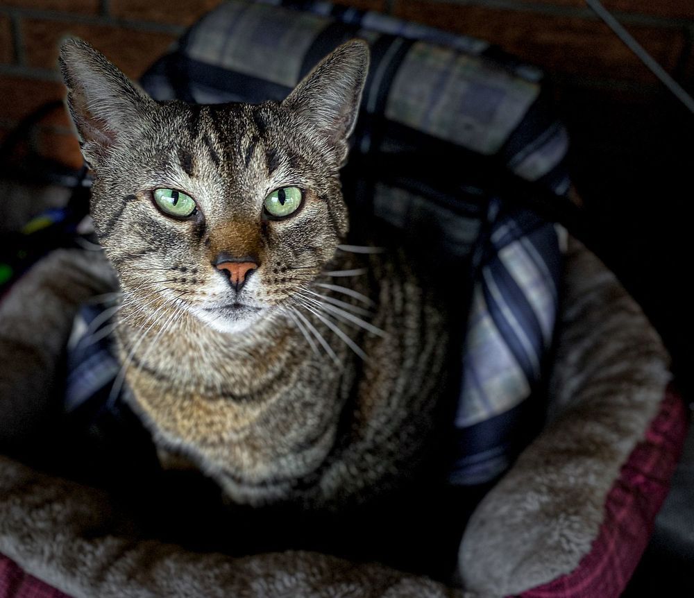 Photograph by Ademar