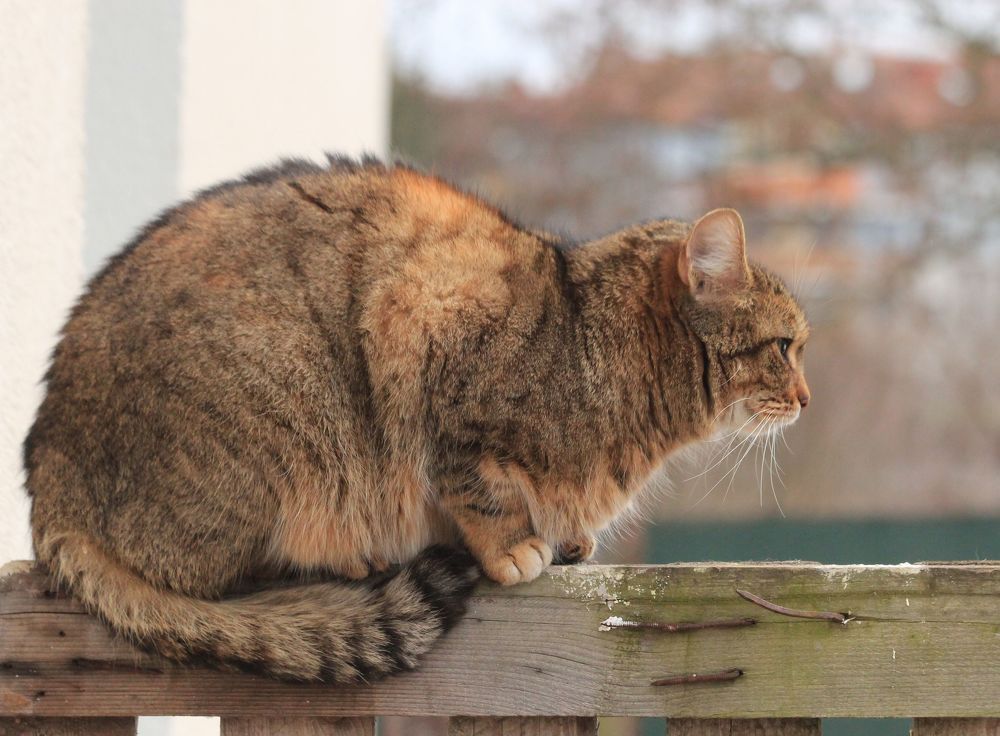 Photograph by Barbara