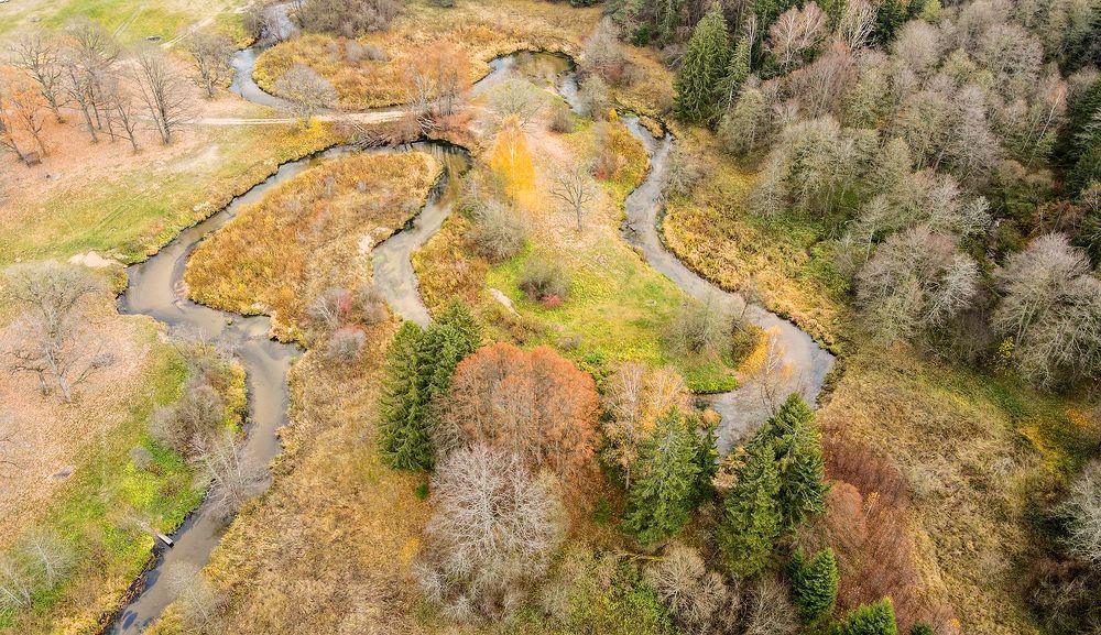 Photograph by Алла Толстая