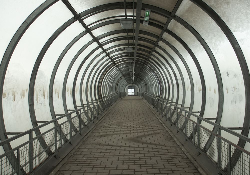 Photograph by владимир Заворотный