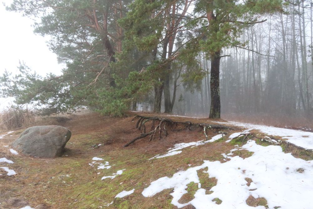 Photograph by Валерий Козуб