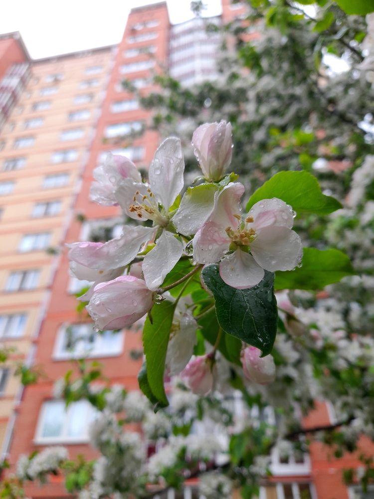 Фотография автора Владислава Андрюнина