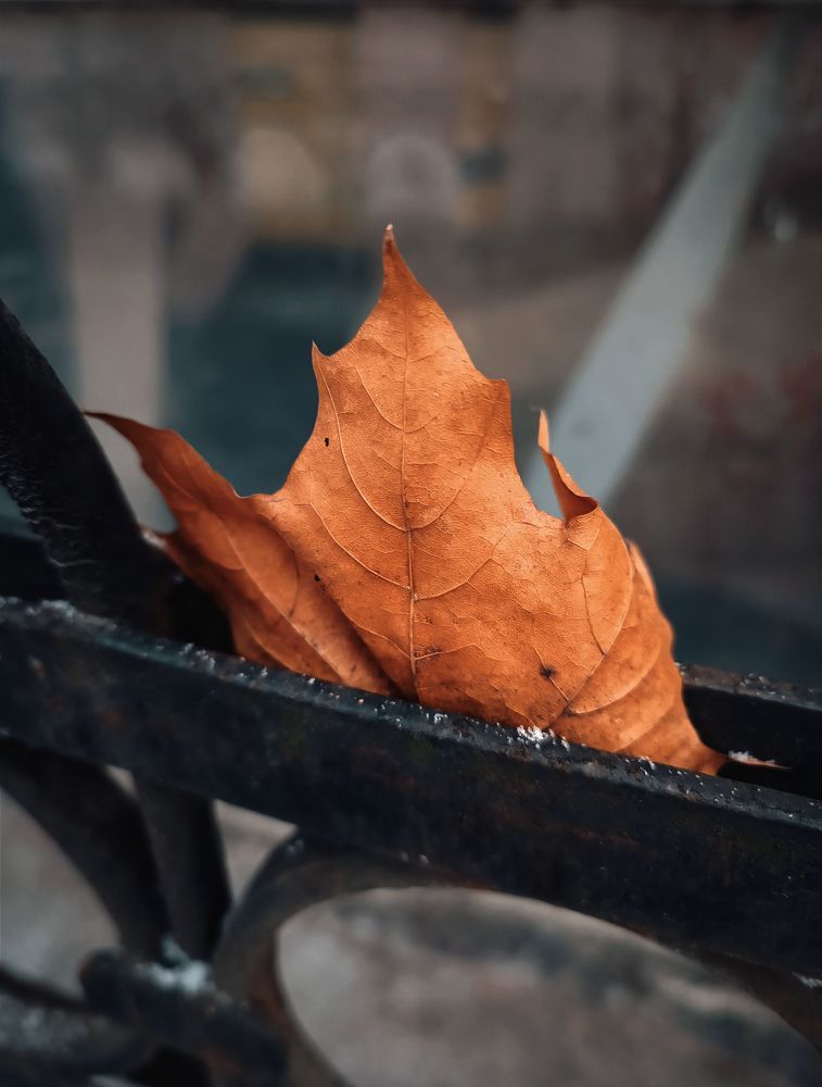 Photograph by Марина Хохрякова