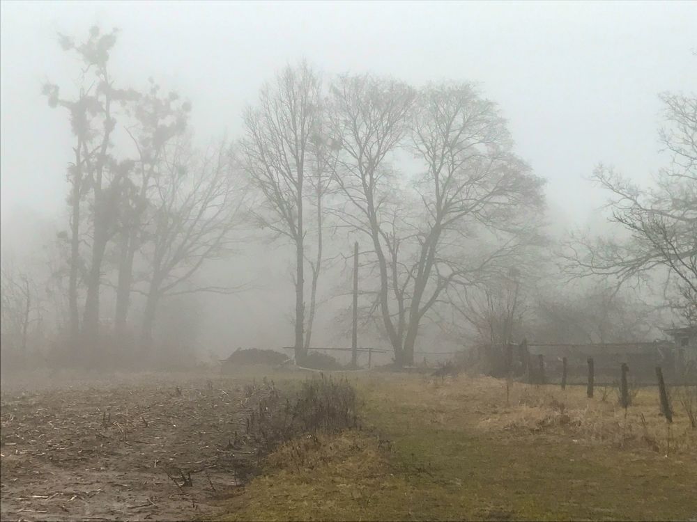 Photograph by Валерий Козуб