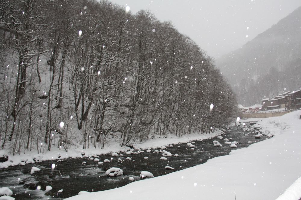 Photograph by Гришина Марина