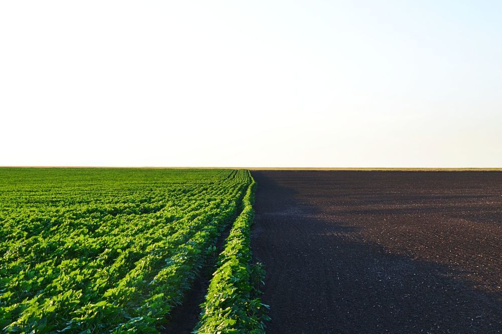 Фотография автора Евгений