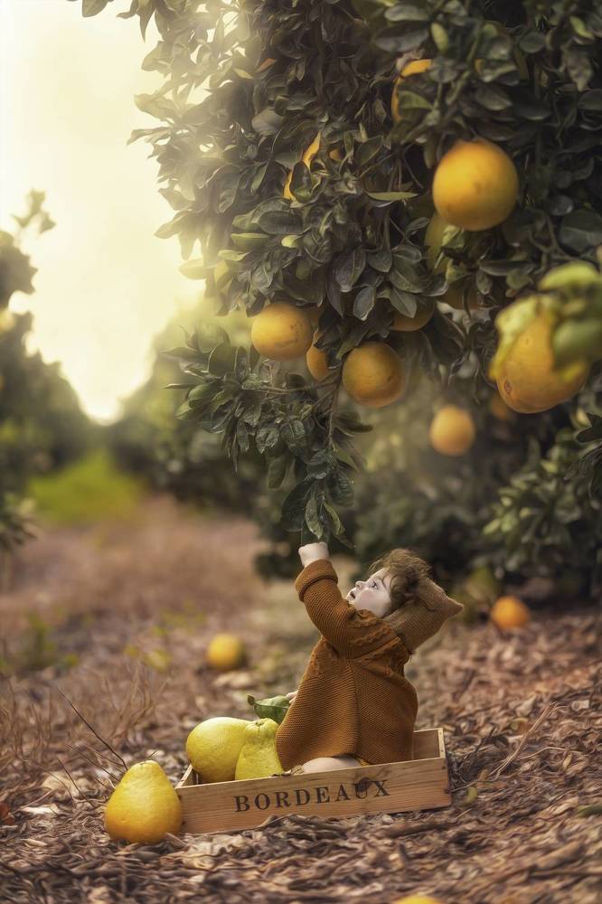 Photograph by Tahel Shenhav