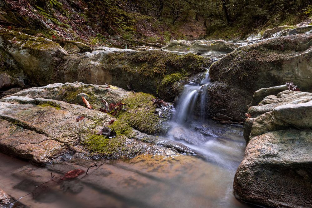 Осень наступила...