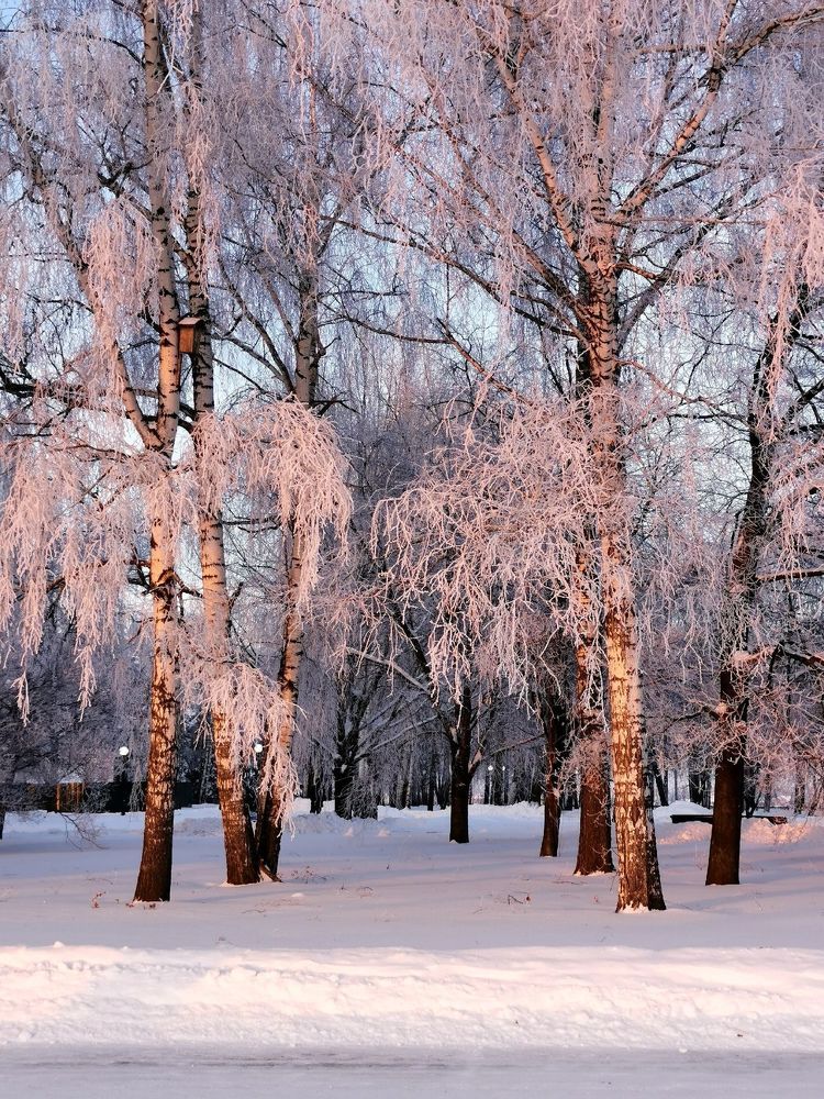 Photograph by Анна Мамаева