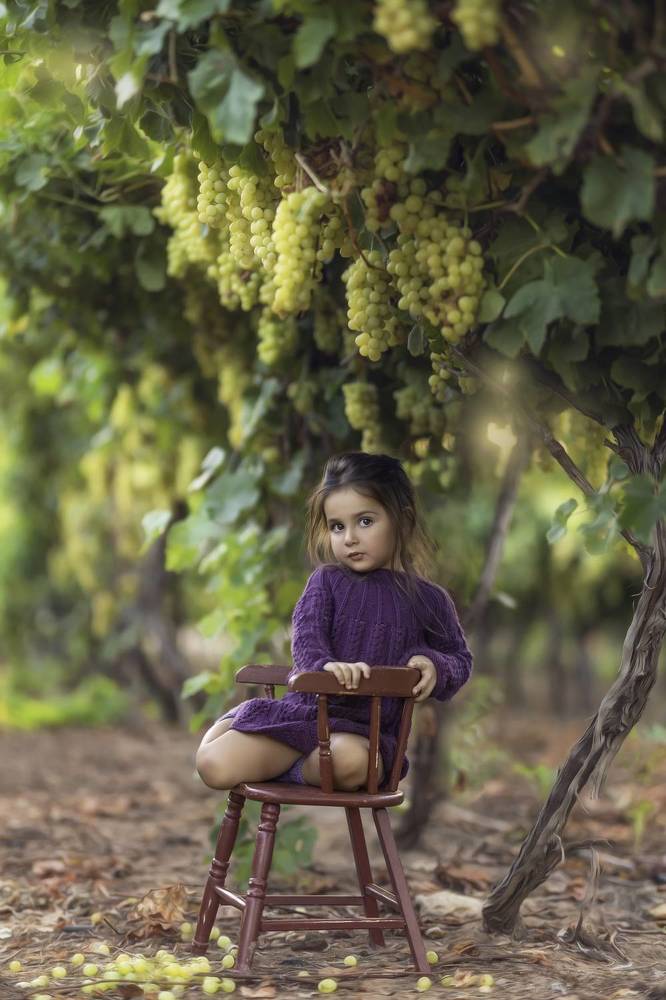 Photograph by Tahel Shenhav