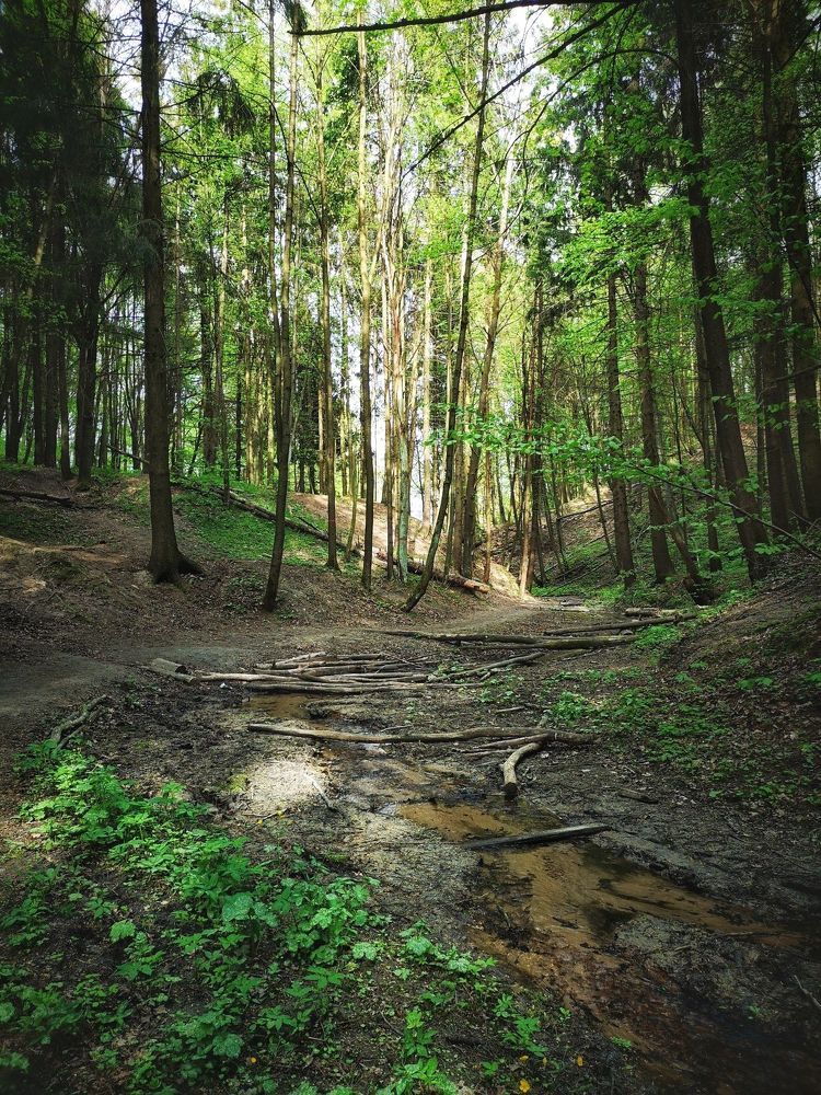 Photograph by Екатерина Борисовна Кузьмина