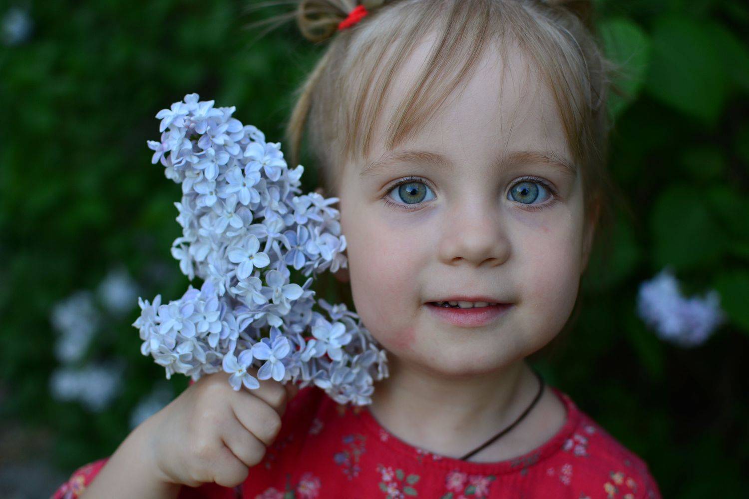 Photo #8973505